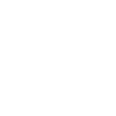 Vie Limo