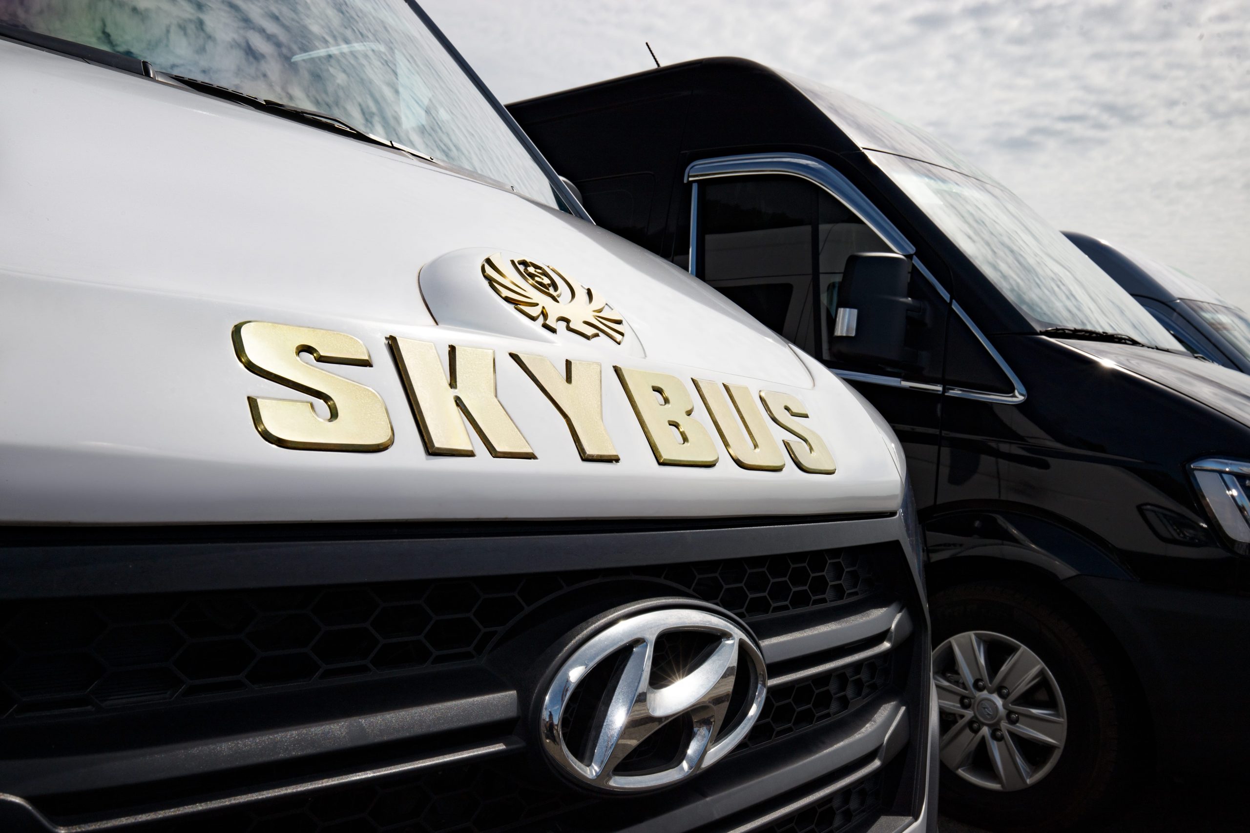 skybus bold