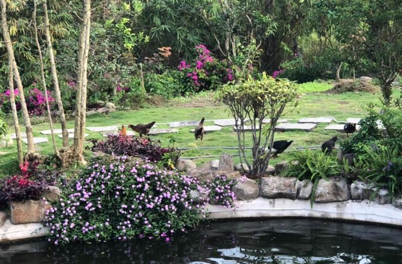 Suối Reo Valley có không gian yên bình phù hợp để thư giãn, nghỉ dưỡng cùng người thân