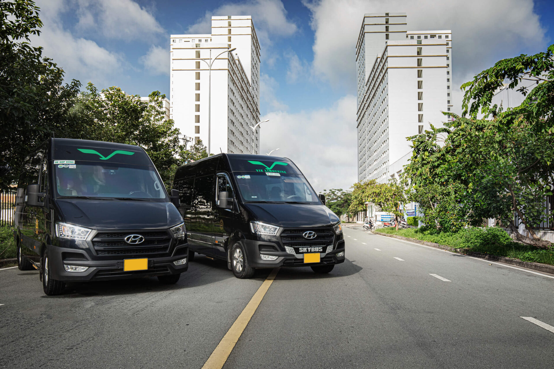 xe limousine của Vie Limo