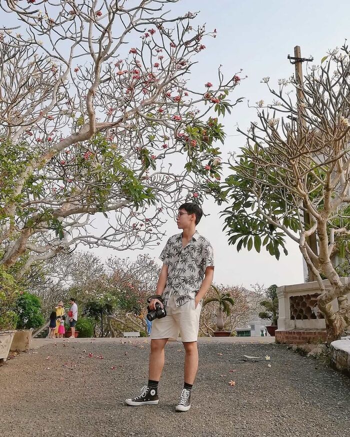 Bạn có thể đi tới tiền sảnh Bạch Dinh bằng con đường hoa sứ.