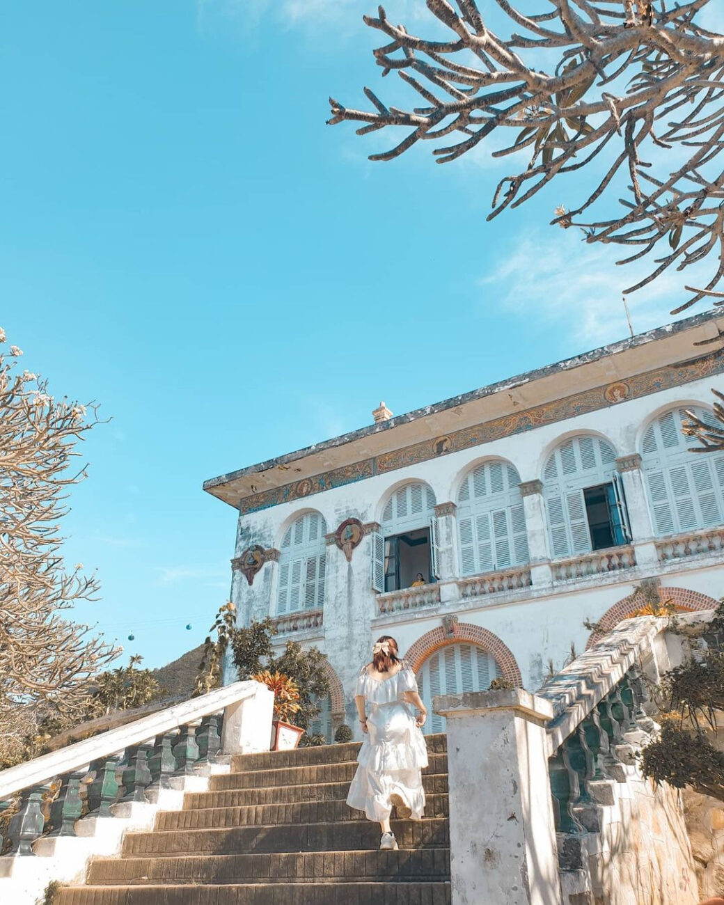 Bạch Dinh
