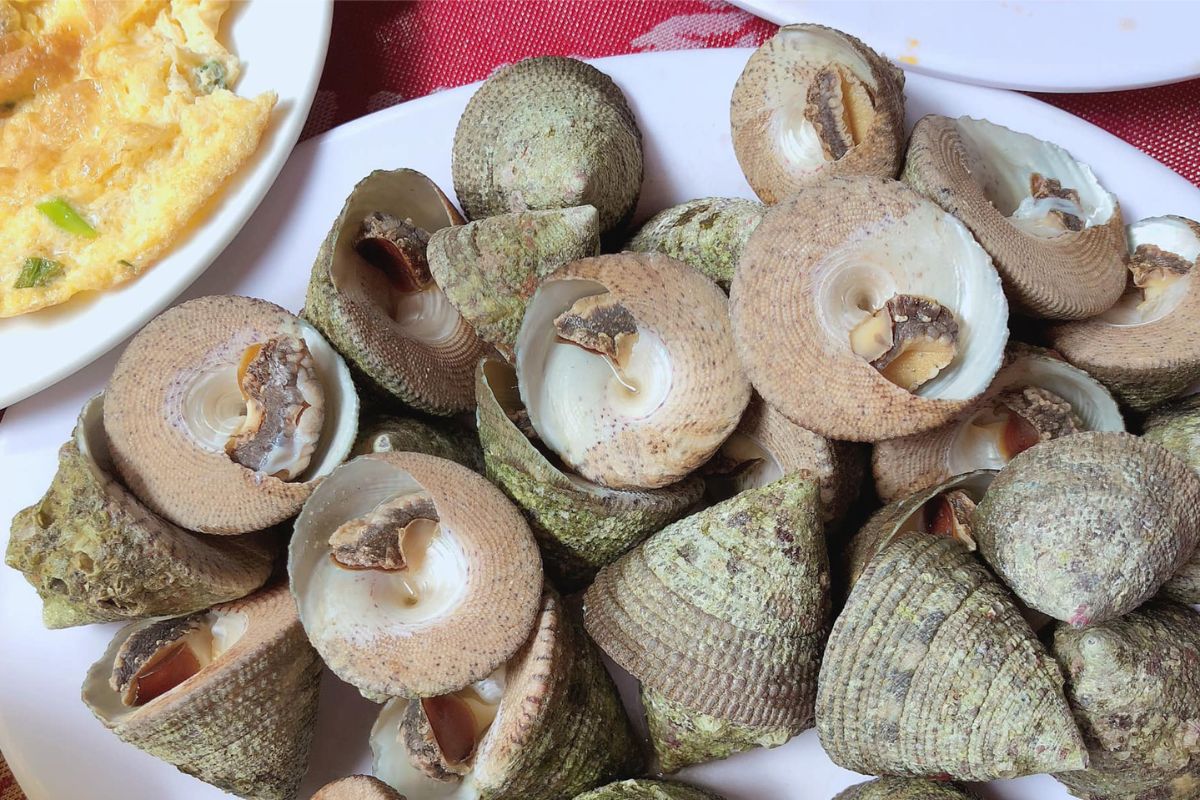 ốc Vú Nàng