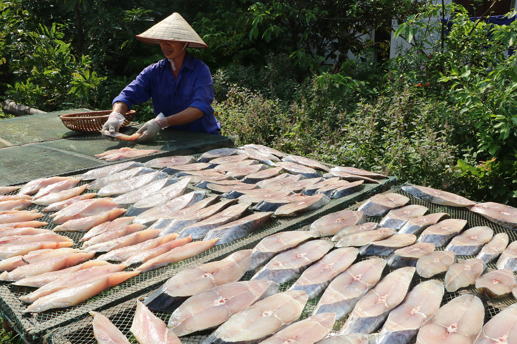 Loại đặc sản phù hợp cho việc chế biến thành nhiều món ăn ngon đáp ứng sự hài lòng của mọi thực khách.
