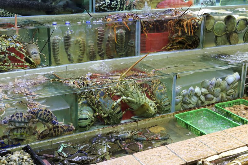 Hải Sản Vũng Tàu