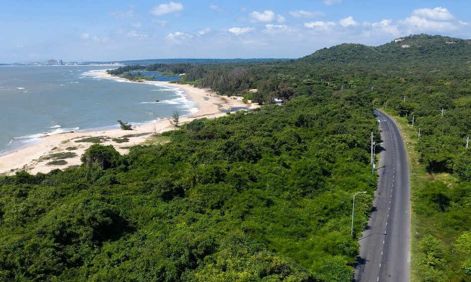 Rừng nguyên sinh Bình Châu - Phước Bửu