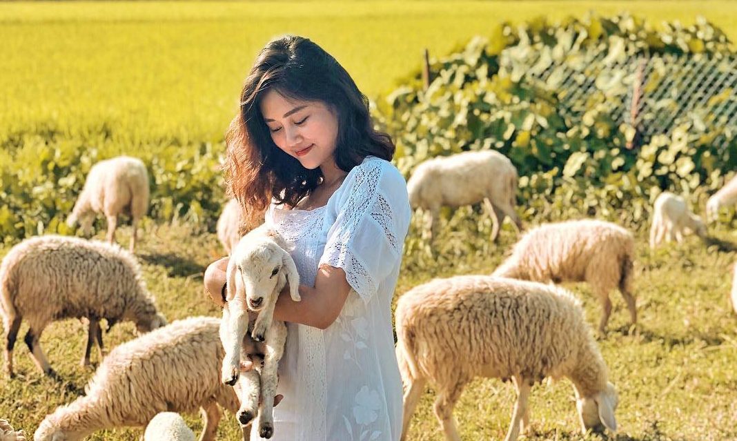 Tham quan đồi cừu Vũng Tàu giá bao nhiêu