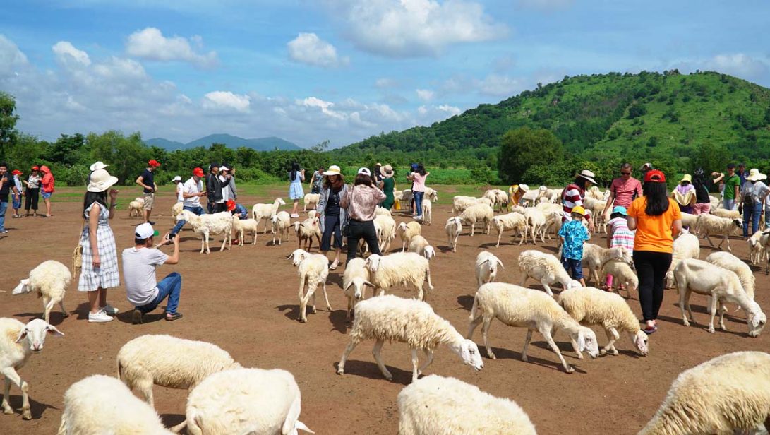 Lưu trú, ăn uống ở đâu khi tham quan