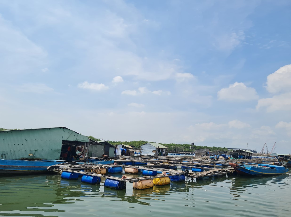 Tham quan mô hình nuôi hải sản trên làng bè