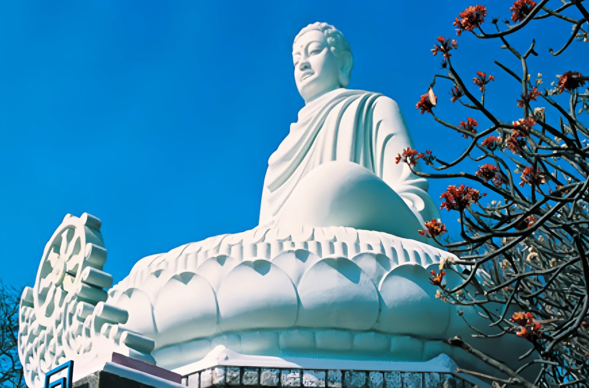 Vãn cảnh chùa Thích Ca Phật Đài