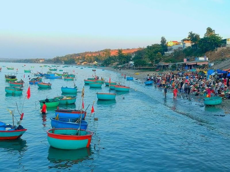 Trải nghiệm câu cá, bắt hàu cùng ngư dân