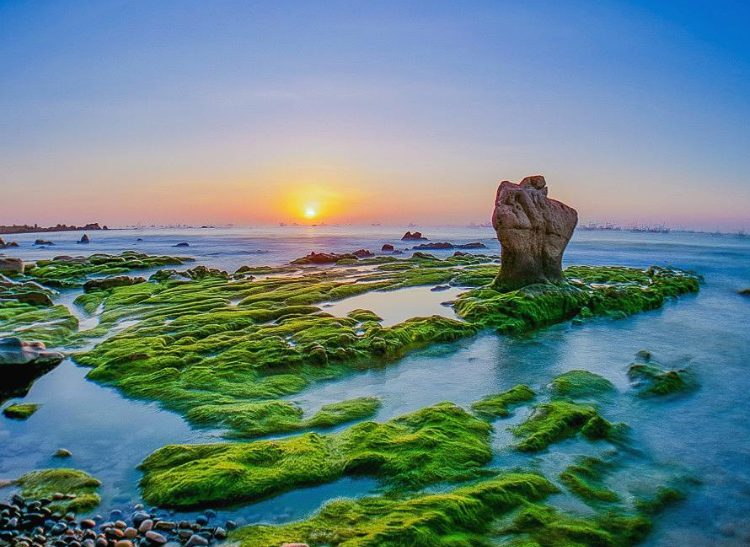 Bãi biển Cổ Thạch