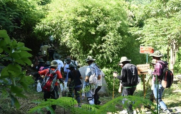 Trekking rừng già