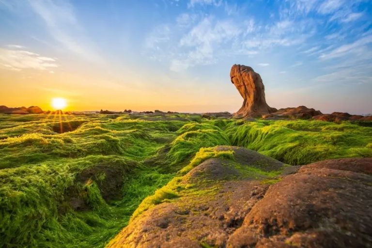 Khám Phá Bãi Biển Cổ Thạch Vẻ Đẹp Kỳ Lạ Thu Hút Du Khách