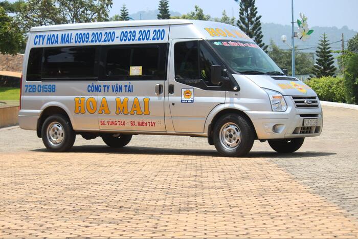 Hoa Mai